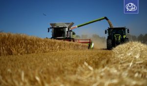 تقرير إفريقي: الجزائر ضمن أكبر منتجي الشعير في القارة