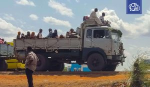 دارفور الجديدة.. شباب يختفون في طريقهم للعمل بالتعدين وأسر نازحة تروي قصص التوقيف القسري