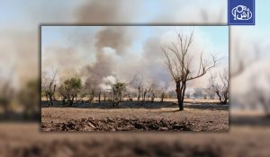 مذبحة في جنوب كردفان.. 20 قتيلاً بينهم نساء وأطفال في نزاع على ترسيم الحدود