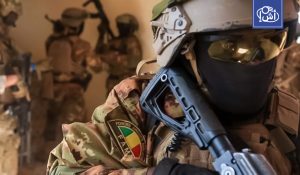 الجيش المالي يعلن تطهير منطقة ليري من الإرهاب