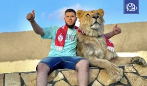 من المنازل إلى حفلات الزفاف.. الأسود والنمور تثير الرعب في ليبيا