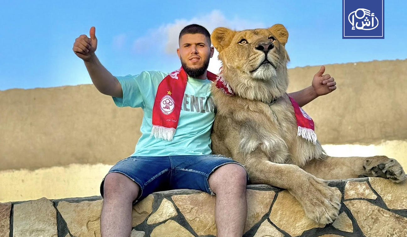 من المنازل إلى حفلات الزفاف.. الأسود والنمور تثير الرعب في ليبيا