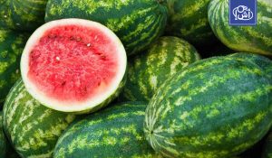 مصر تنفي شائعات “البطيخ المسرطن”