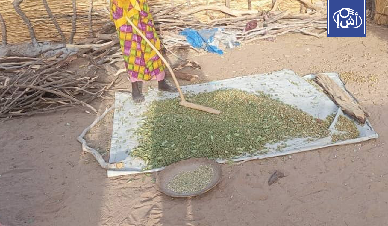 اللاجئون السودانيون في تشاد يواجهون خطر الجوع وسوء التغذية