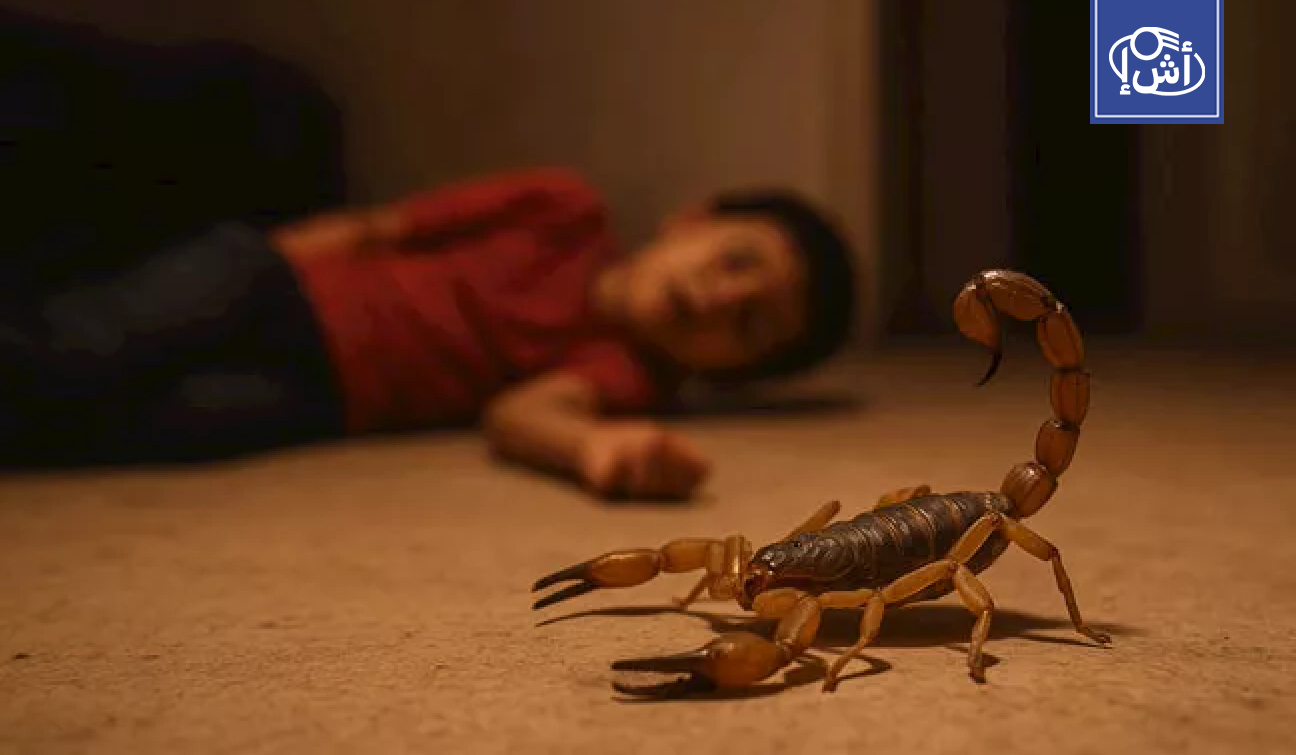 عواصف في مصر تخرج العقارب من جحورها وتصيب أطفالا