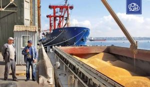 تونس تعلن عن مناقصة دولية لشراء 25 ألف طن من الشعير العلفي