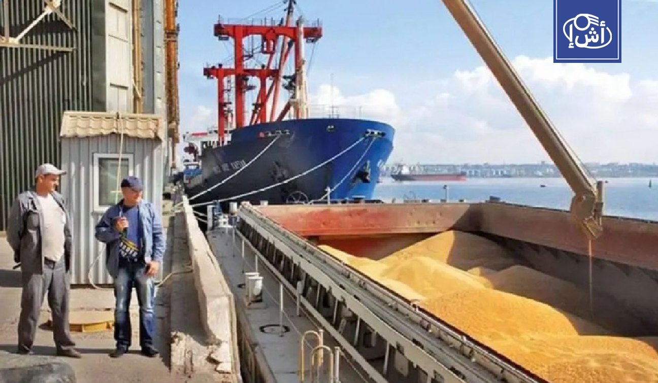 تونس تعلن عن مناقصة دولية لشراء 25 ألف طن من الشعير العلفي