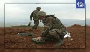 الجزائر تشكر روسيا على المساعدة في تطهير الألغام