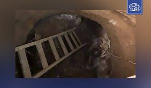 مصر.. وفاة شخص أثناء تنقيبه غير المشروع عن الآثار في القليوبية