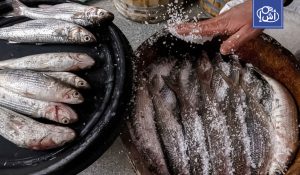 نبروه.. “عاصمة الفسيخ” التي يقصدها المصريون قبل شم النسيم