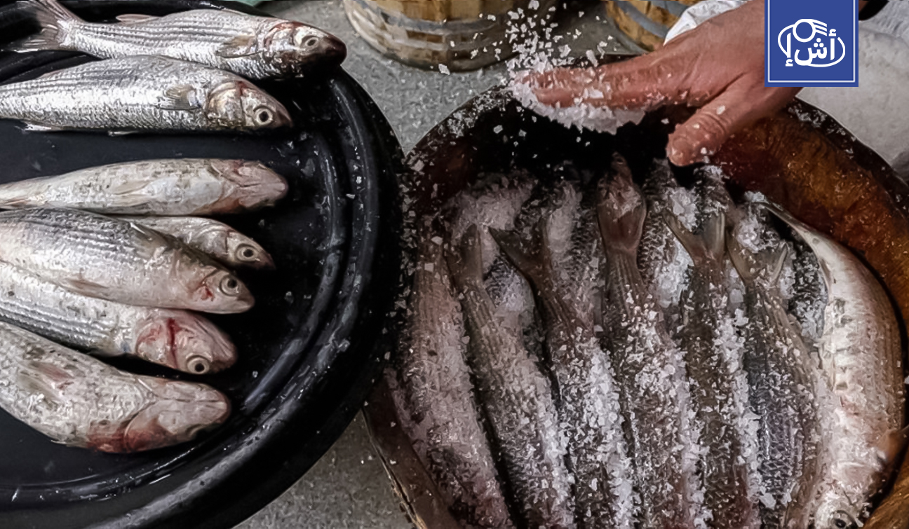 نبروه.. “عاصمة الفسيخ” التي يقصدها المصريون قبل شم النسيم