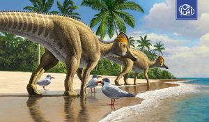 اكتشاف ديناصور مغربي يكشف روابط مفاجئة بين إفريقيا وأمريكا الجنوبية