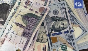 تراجع الدولار في مصر لا ينعكس على الأسعار