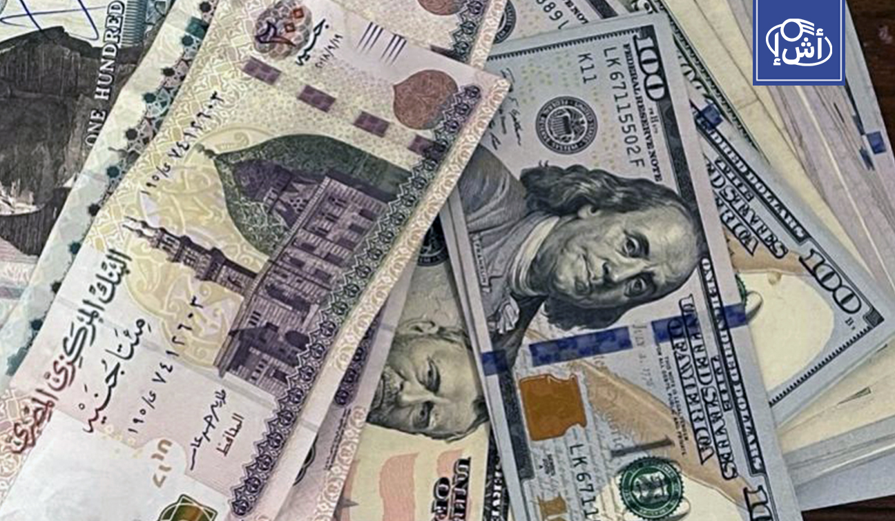 تراجع الدولار في مصر لا ينعكس على الأسعار