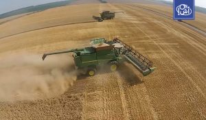 مسؤول ليبي: اعتماد البلاد على واردات القمح والحبوب والأسمدة من روسيا يصل إلى 80%