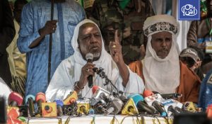 مالي.. دعوات معارضة لانتقال مدني عاجل