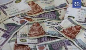 أكبر عملية نصب سيارات في مصر تنتهي بحكم تاريخي