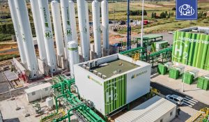 مصر تدرس مشروعا ضخما للأمونيا الخضراء