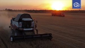 من الحبوب إلى الأسمدة.. شراكة زراعية تتوسع بين موسكو والقاهرة