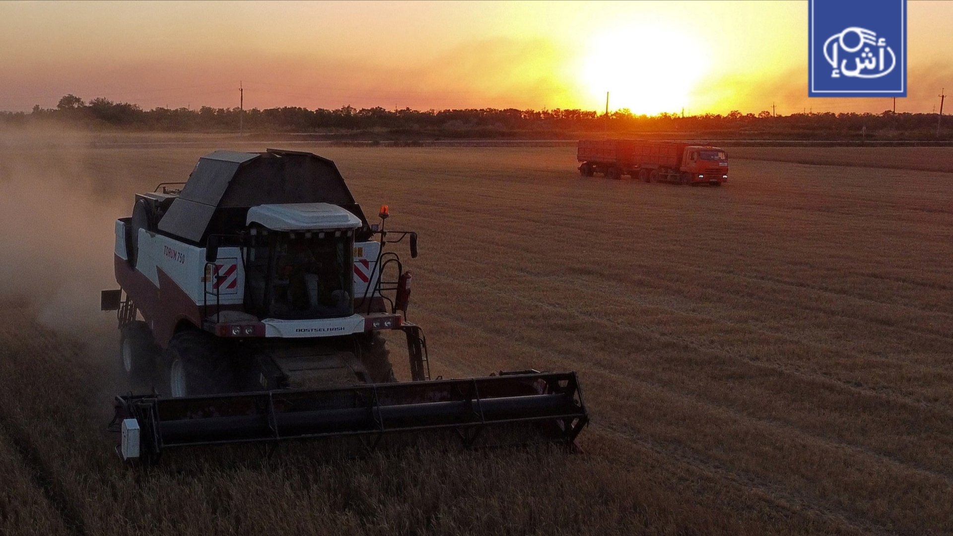 من الحبوب إلى الأسمدة.. شراكة زراعية تتوسع بين موسكو والقاهرة