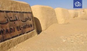 وادي الحيتان.. كنز جيولوجي مصري يواصل حضوره عالمياً