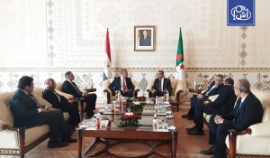 شراكة جديدة بين الجزائر ومصر في مجال الطاقة