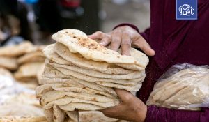 مصر تستهدف الاكتفاء الذاتي من القمح بحلول 2028