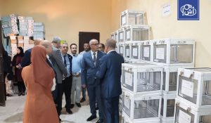 لوائح الانتخابات الجزائرية تفجر غضباً واستقالات داخل الأحزاب