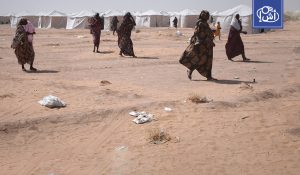 مقتل 14 مدنياً في هجوم بطائرة مسيّرة غرب السودان