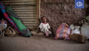 الأمم المتحدة تحذر من انهيار أنظمة حماية المدنيين في السودان