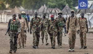 الجيش السوداني يقترب من الكرمك بعد تقدمه في محاور النيل الأزرق