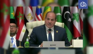 فيديو متداول يوثق احتكاكاً بين عناصر الحماية المصرية والسنغالية