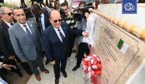 الجزائر تعزز تعاونها مع النيجر بمشروع طاقوي جديد