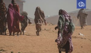 فصل 18 موظفاً من “أطباء بلا حدود” بتهم استغلال جنسي في تشاد