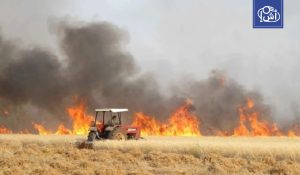 حرائق تلتهم محاصيل زراعية في المغرب