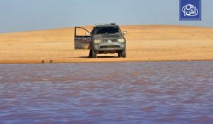 مشهد مذهل.. أمطار غزيرة تحول أجزاء من صحراء الحمادة الليبية إلى بحيرات