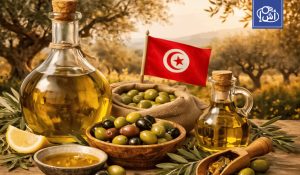 تونس تتصدر مسابقة أمريكية دولية لزيت الزيتون