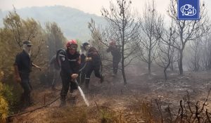 الجزائر تعلن إخماد جميع حرائق الغابات والمحاصيل
