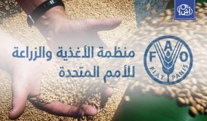 “فاو”: ليبيا تحتاج لاستيراد 3.3 مليون طن من الحبوب بسبب الجفاف