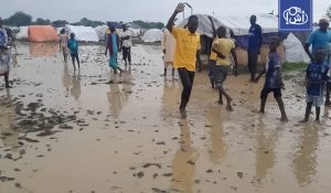 السودان.. نداء استغاثة من النيل الأزرق مع تفاقم معاناة النازحين بسبب الأمطار