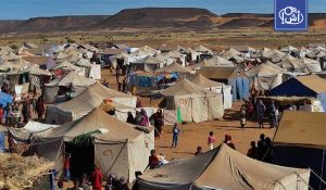السودان.. نزوح متصاعد يضغط على مدينة الأبيض