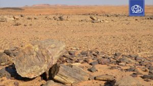 مأساة في صحراء السودان.. وفاة 33 مسافراً بعد تعطل مركبتهم