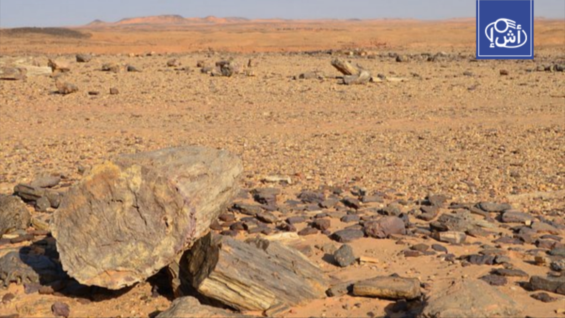 مأساة في صحراء السودان.. وفاة 33 مسافراً بعد تعطل مركبتهم