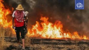 الجزائر.. مصرع 6 أشخاص في حرائق الغابات