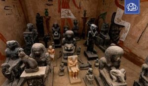 إحباط محاولة تهريب مخدرات بقيمة 16 مليون جنيه في مصر