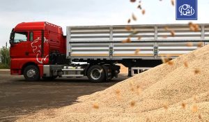 واردات المغرب من الحبوب ترتفع إلى 5.8 ملايين طن خلال 6 أشهر