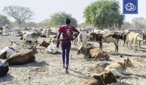 49 قتيلا في هجوم على مخيم لرعاة الماشية في جنوب السودان