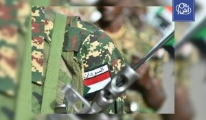 السودان: قوة تضم 291 عنصراً تنضم إلى الجيش في محلية الدبة