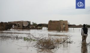 سيول السودان تدمر 130 منزلا وتشرد 63 أسرة في كردفان ودارفور