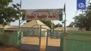 دعوات لتدخل عاجل بعد اتهامات بانتهاكات ضد المدنيين في النهود